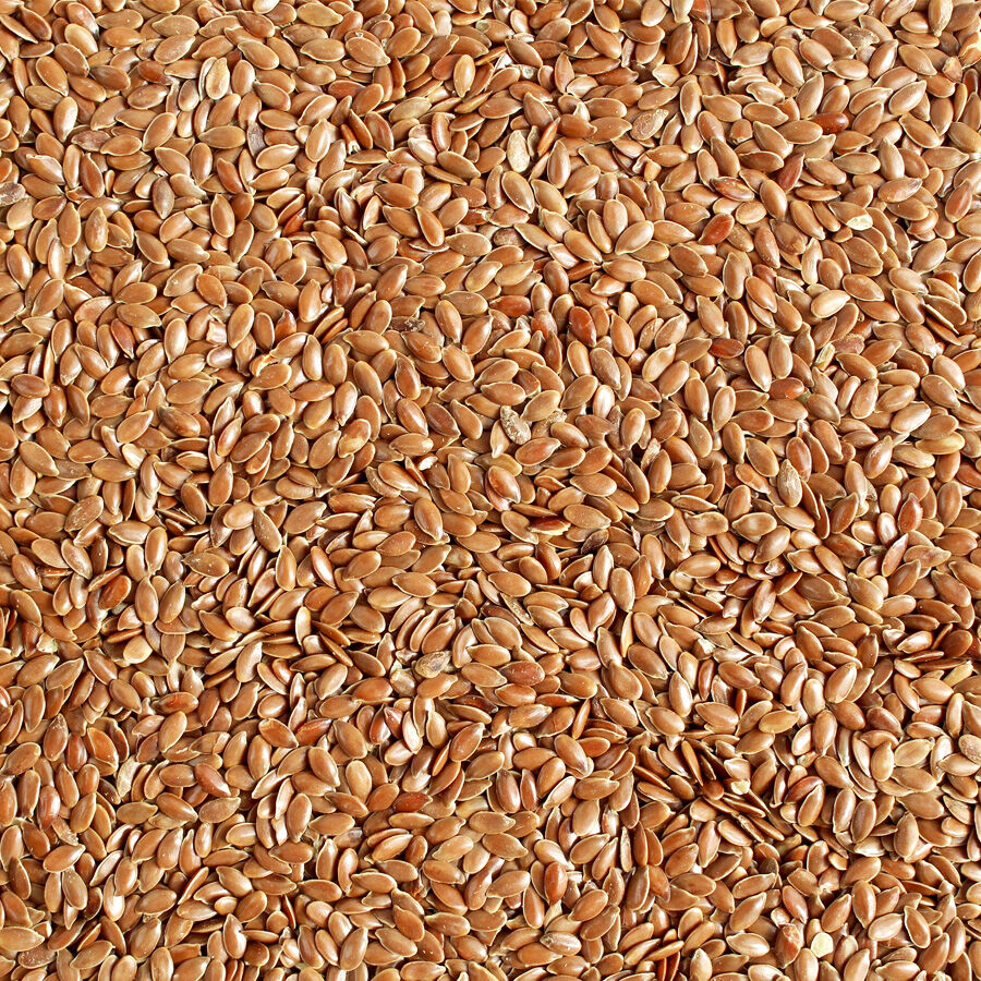 Hasata Ancient Flax Seed 8.82 Oz – 0.55 Lb (250 gr) - Image 2